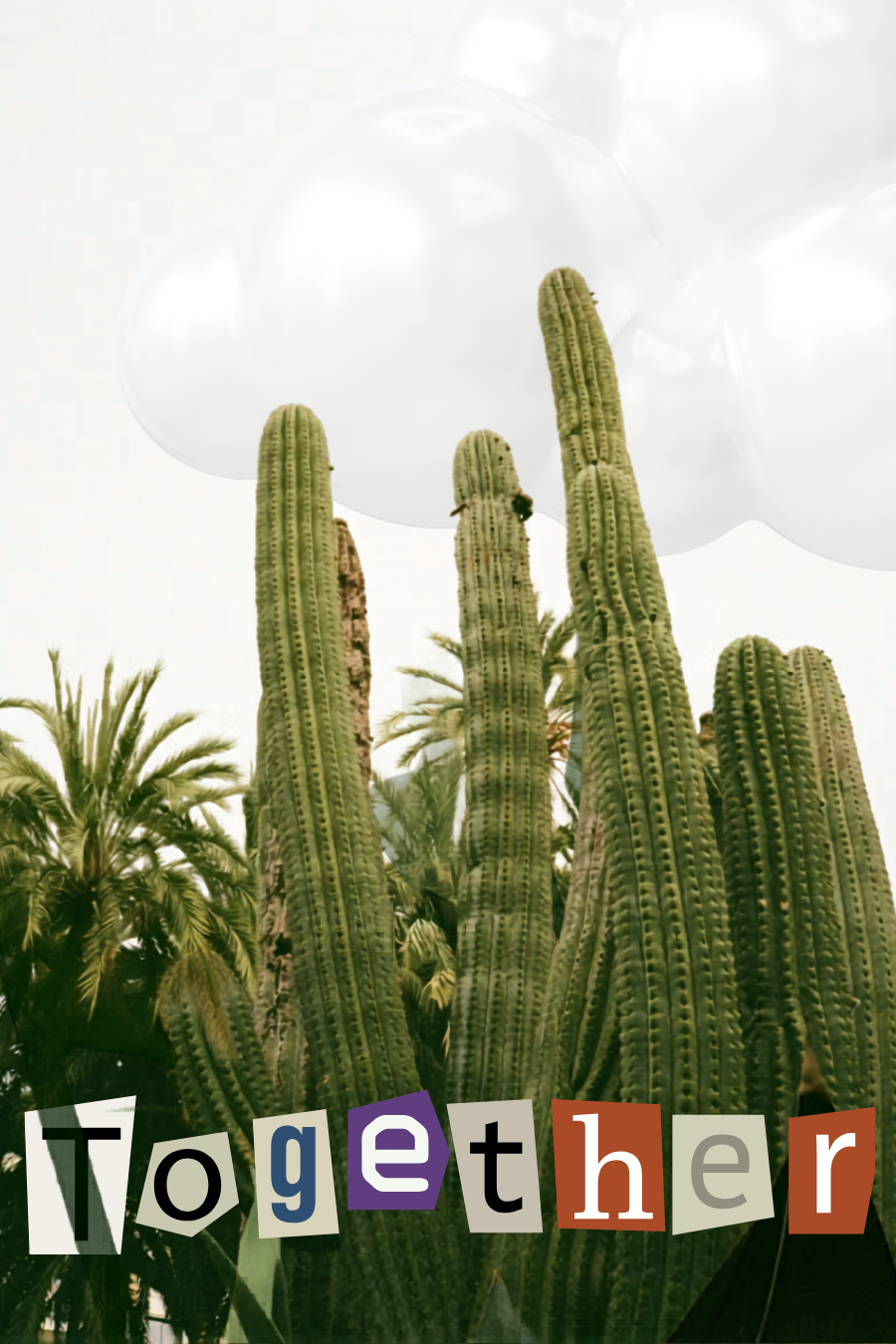 Showcase image 3